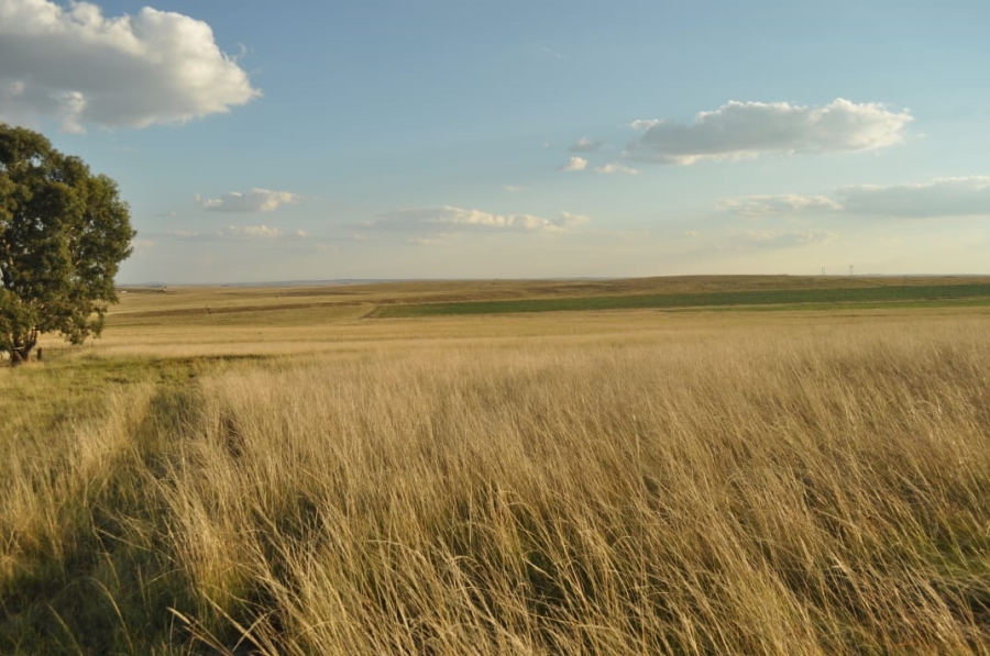 5 Bedroom Property for Sale in Reitz Rural Free State